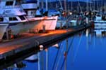 An evening at the Bellingham, Washington, Marina