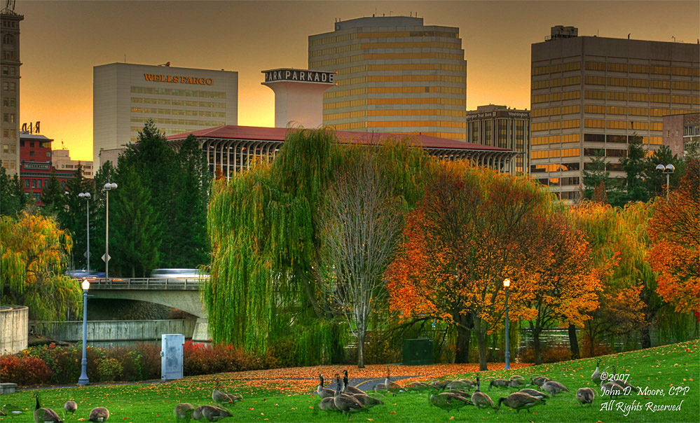 Riverfront Park Geese, Spokane, Washington