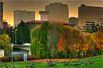 As Spokane's day transitions into night, about 40 of Riverfront Parks Geese walk directly in front of the camera lens.  Spokane, Washington  