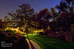 A walk along the narrow path. Riverside, California