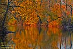 Before the Lewisburg Pennsylvania sun sets, the autumn colors are reflected in the river.
