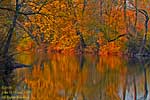 Before the Lewisburg Pennsylvania sun sets, the autumn colors are reflected in the river.