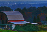 Sunrise at a Ferndale, Washington,  Dairy farm, Spokane Night Scenes