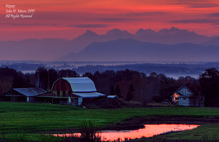 Sunrise at a Ferndale Dairy farm