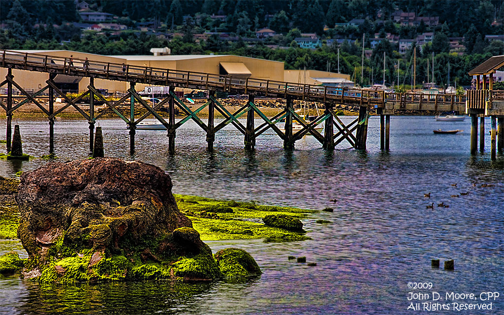 At Boulevard Park in Bellingham Bay  as the sunset arrives . Bellingham, Washington.