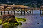 At Boulevard Park in Bellingham Bay  as the sunset arrives . Bellingham, Washington