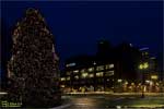 Spokane's 2009 lighted tree at the south end of Riverfont Park.