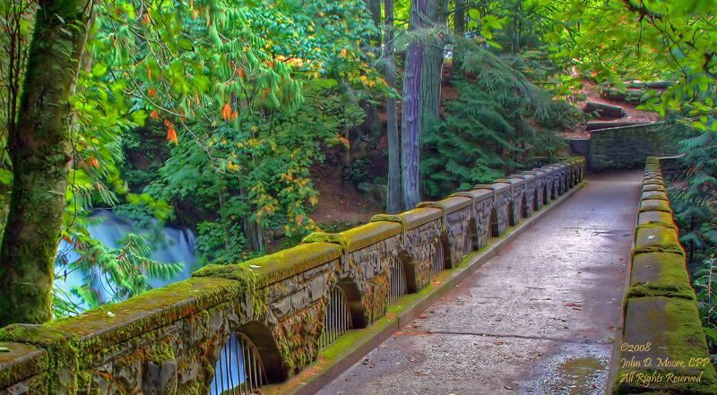 As the sun goes down, in Whatcom Falls Park, Bellingham, Washington.